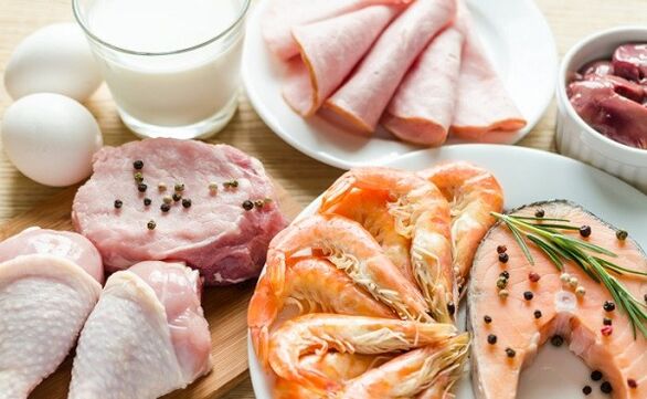 Dieta proteica di base